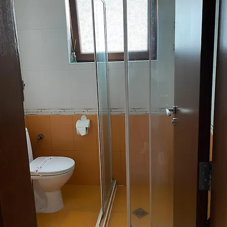 стиляна *