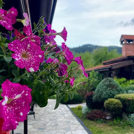 Guest house стиляна